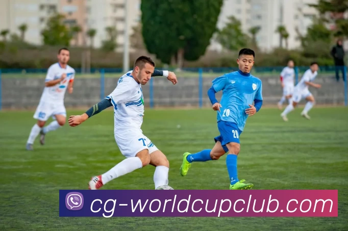 世界杯官方线上APP 封面图